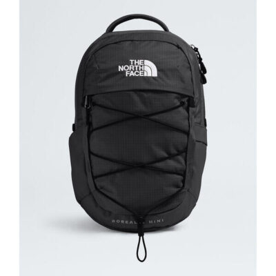 The North Face Borealis Mini Backpack