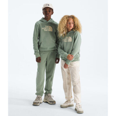 The North Face Teen Evolution Half Dome Pullover Hoodie